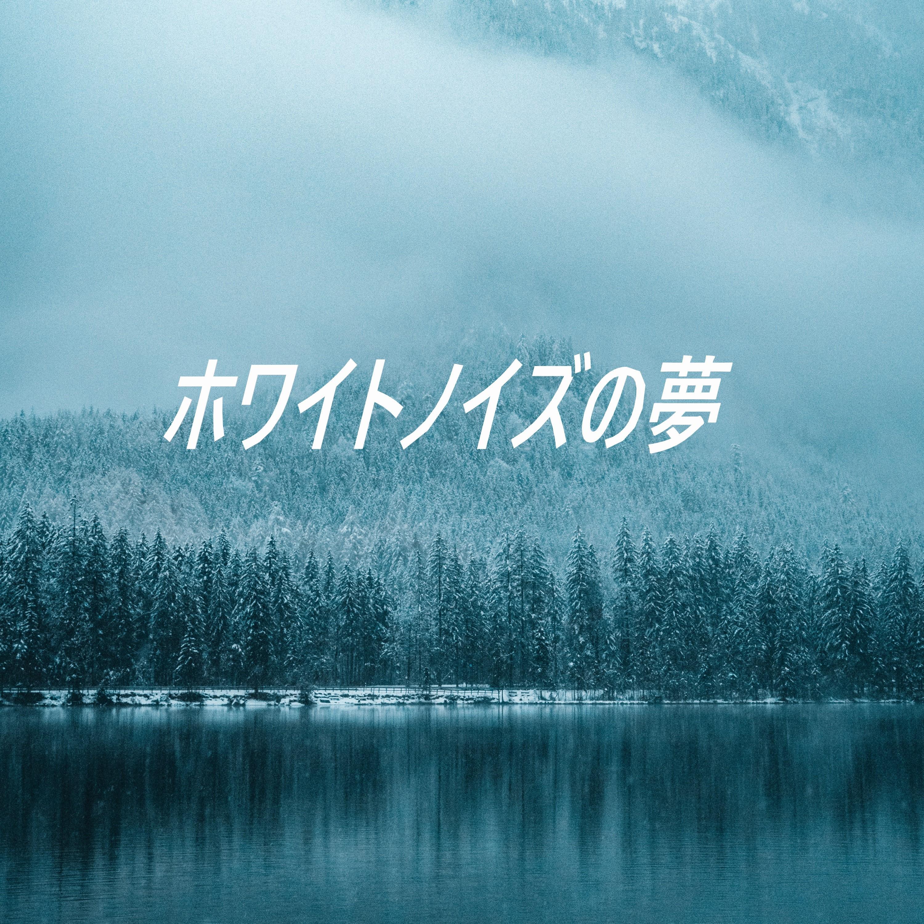 ホワイトノイズの夢