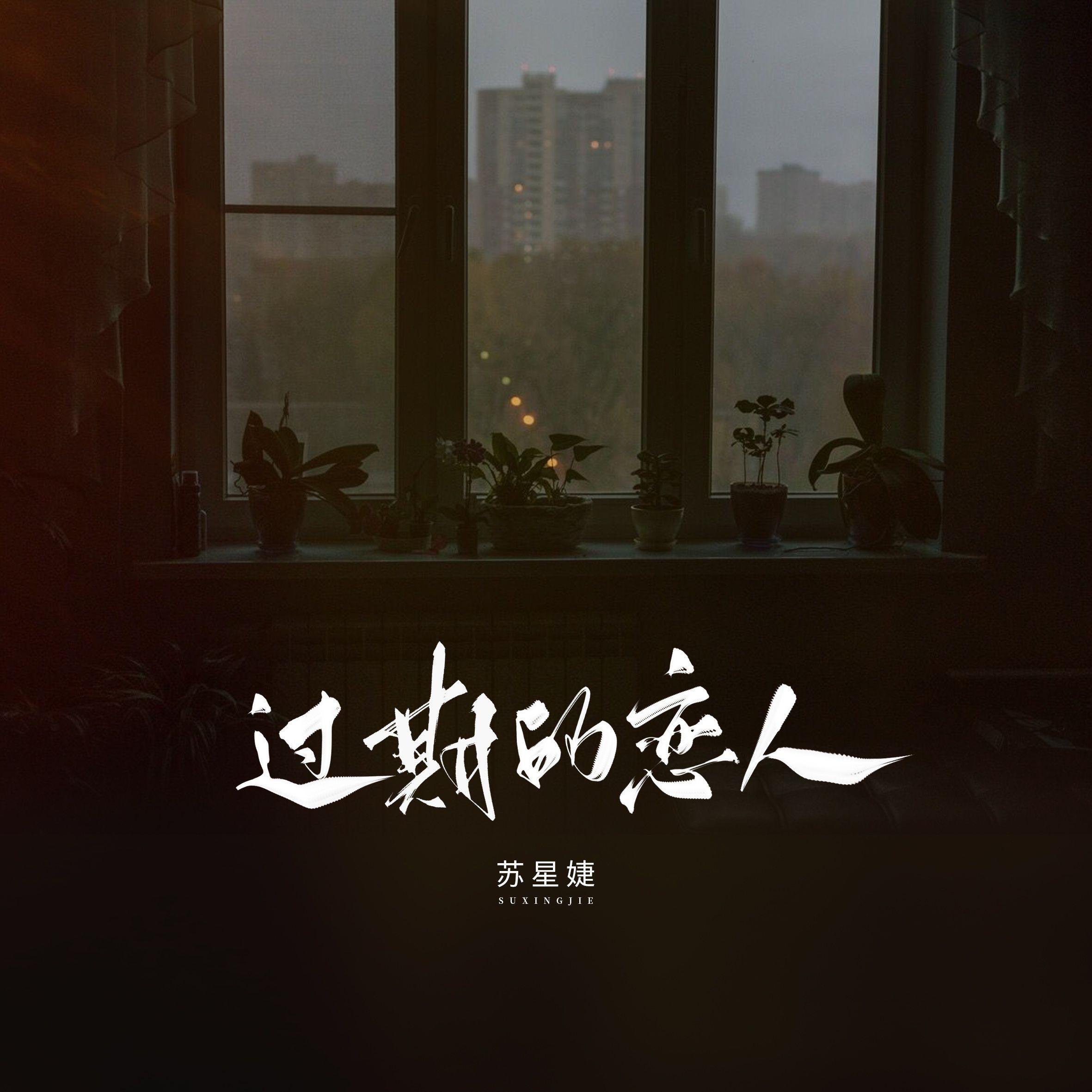 过期的恋人