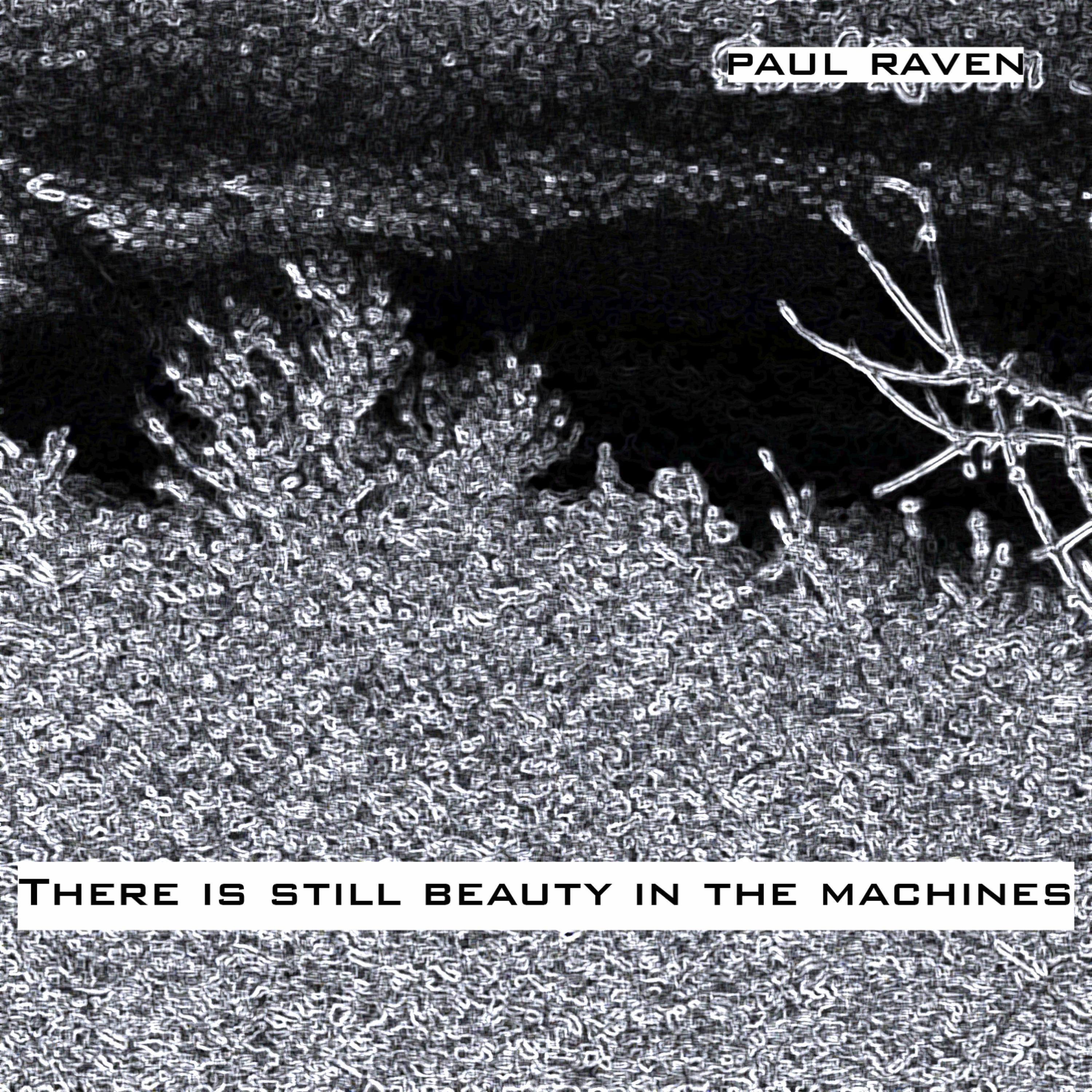 There Is Still Beauty in the Machines