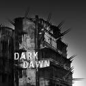 Dark Dawn专辑