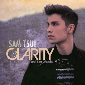 Sam Tsui 翻唱版Clarity消音伴奏 （升1半音）