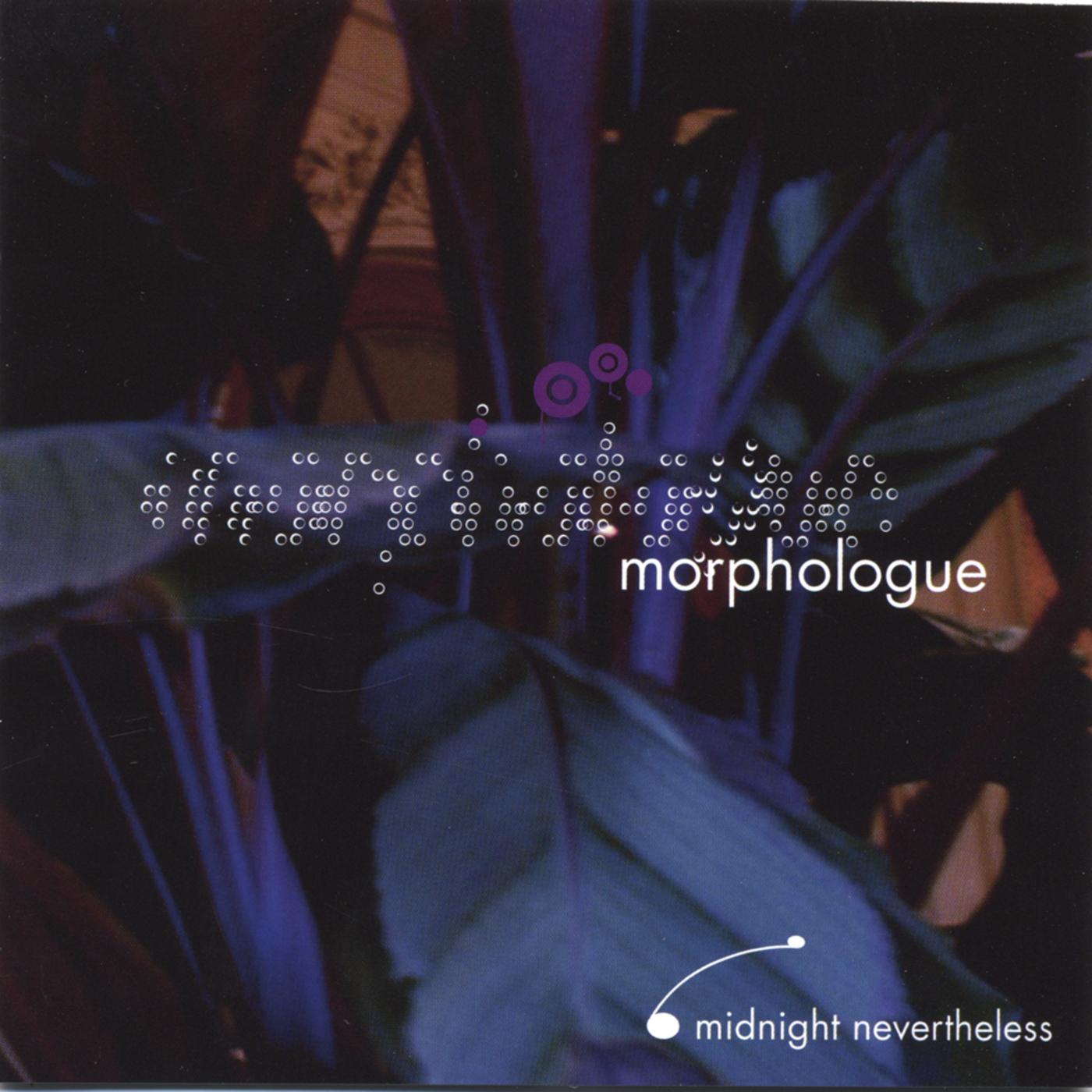 Midnight Nevertheless