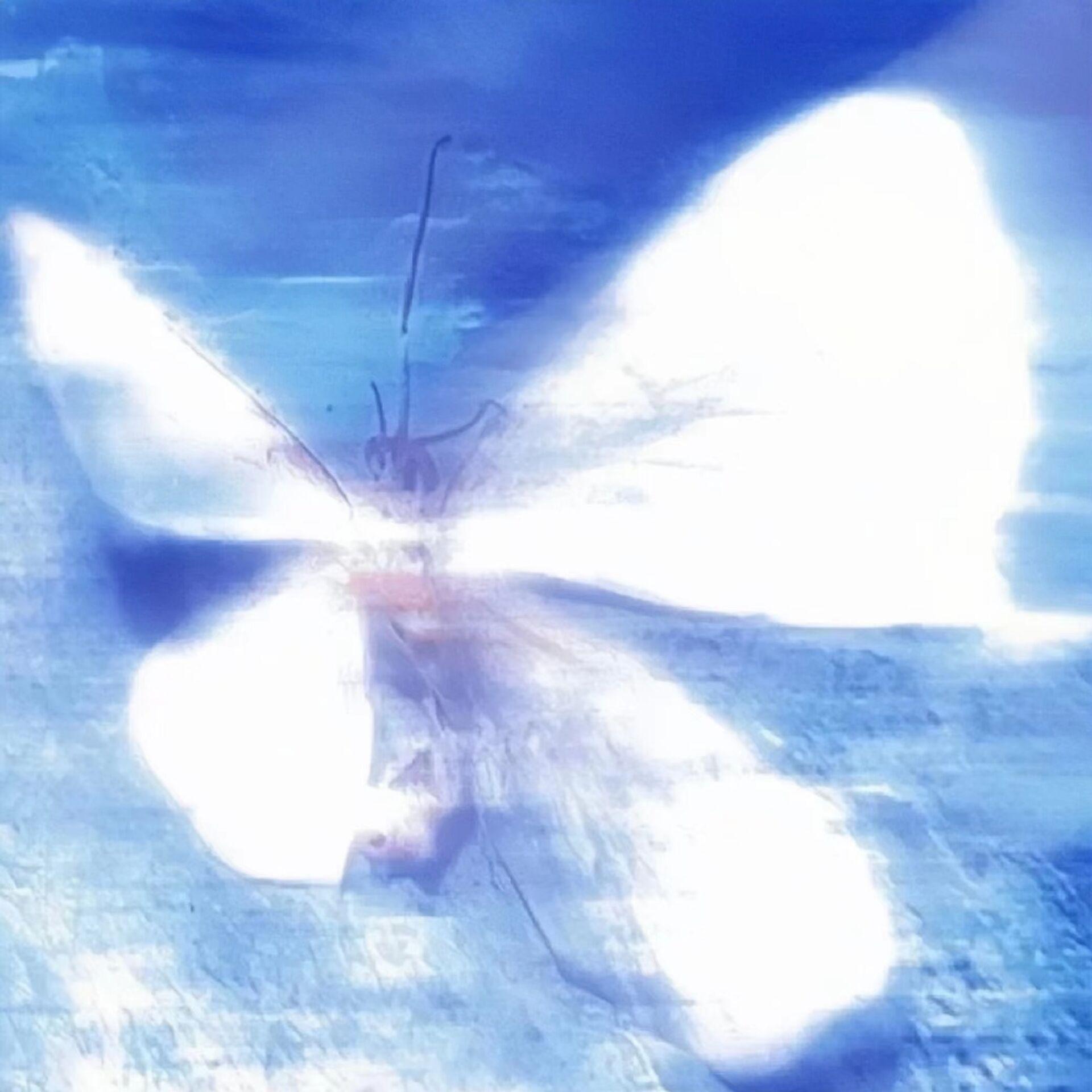 你是不是也记得多久没有说爱我