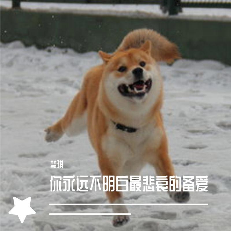 你永远不明白最悲哀的备爱
