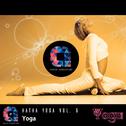 Yoga: Hatha Yoga, Vol.6 (Music for your yoga class and Meditation & Relaxation)专辑