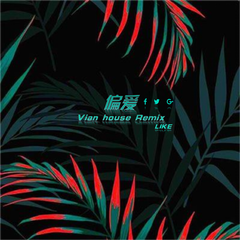 偏爱（Like Vina House Remix)