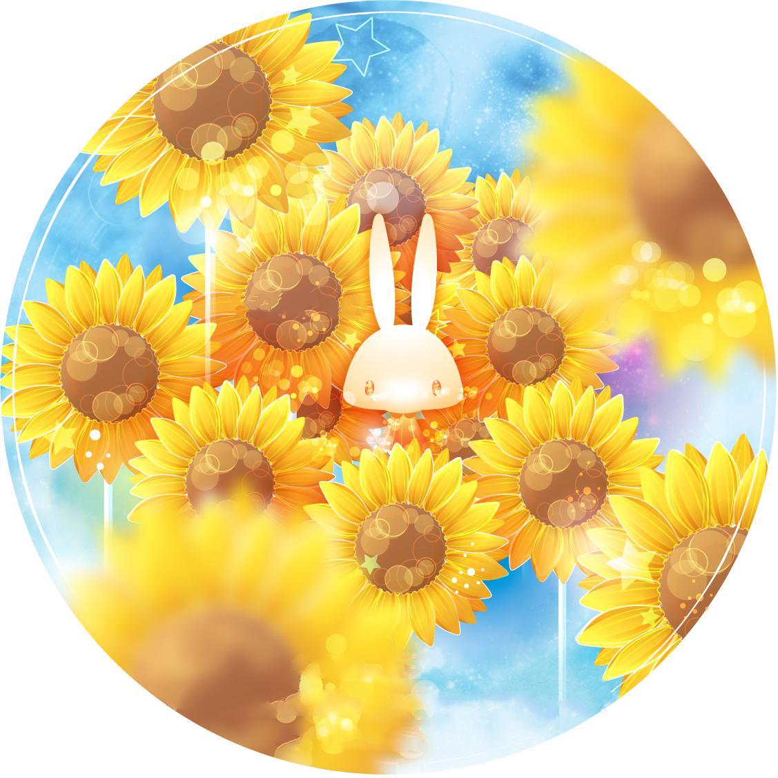 NA~Sunflower