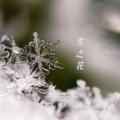 雪之花