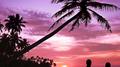 Secret Paradise 2 (Chillout Grooves & Fantasies)专辑