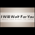 I Will Wait For You