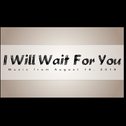 I Will Wait For You专辑