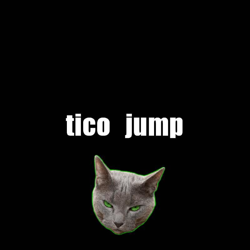 tico jump