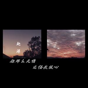 赵洋 - 你(梦想的声音LIVE版)