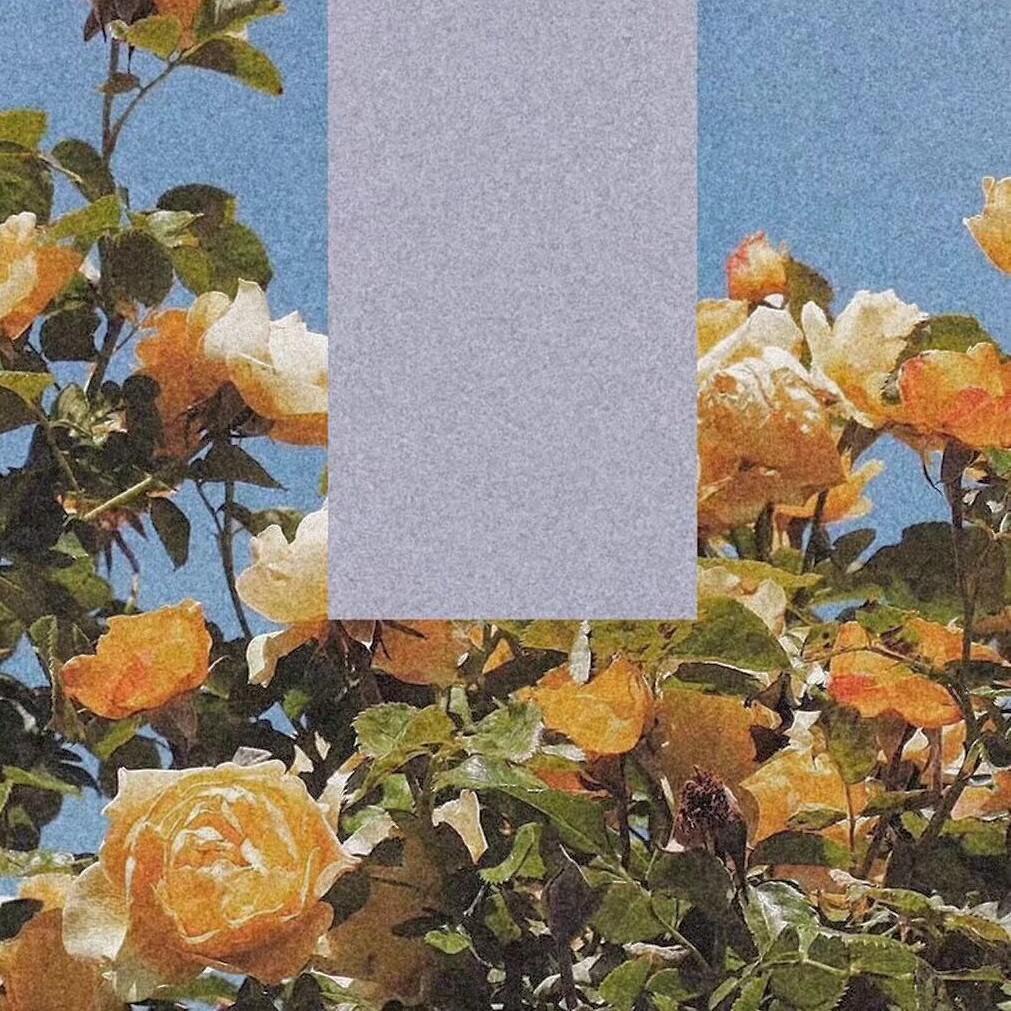 处处吻xLOSER
