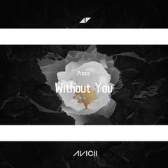 Without You