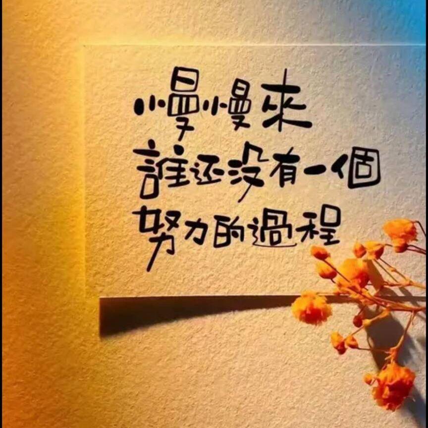 及时止损专辑