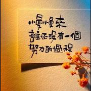 及时止损