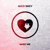 Nico Brey - Miss Me