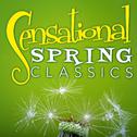 Sensational Spring Classics专辑