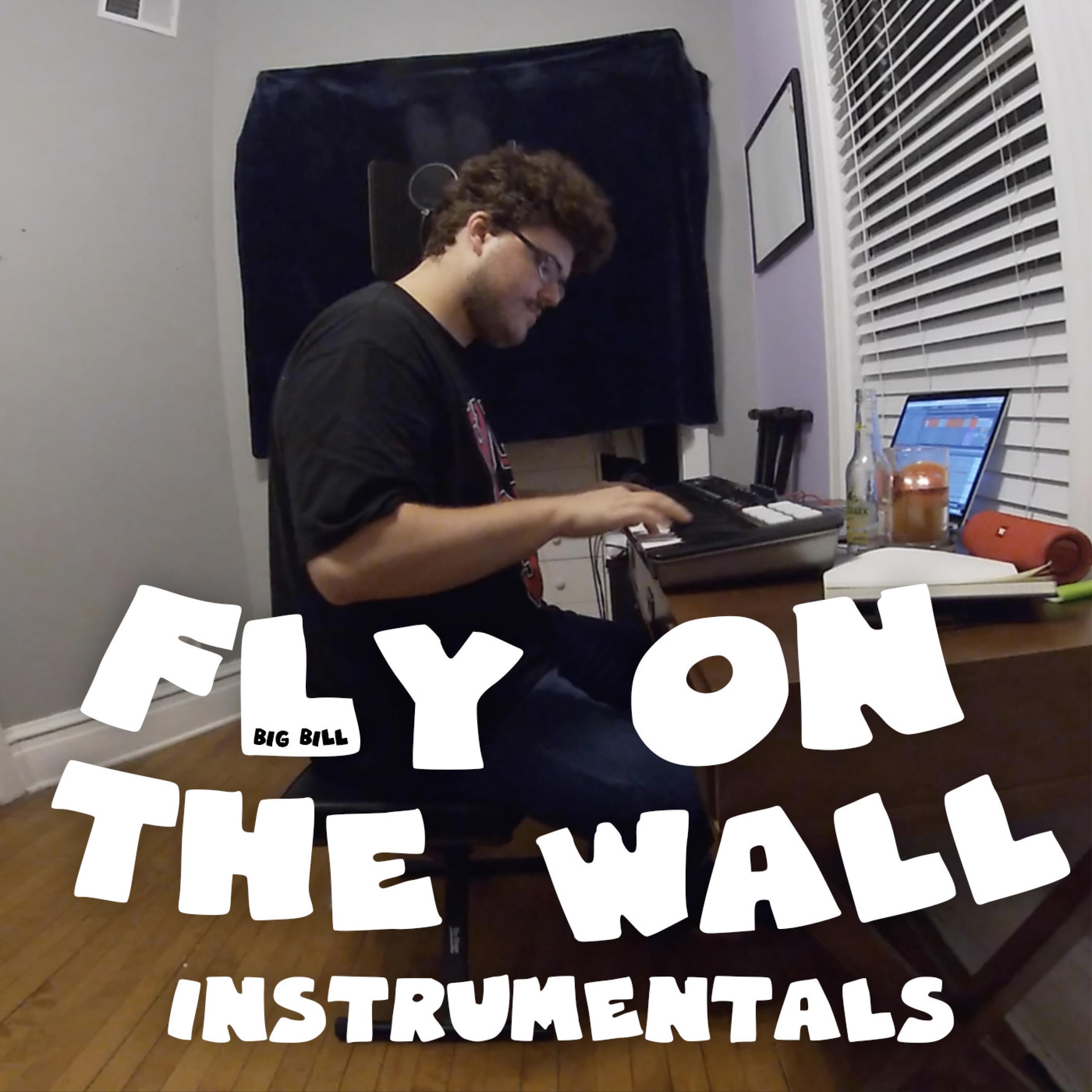 Fly on the Wall Instrumentals
