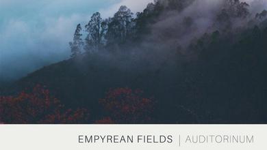 Empyrean Fields