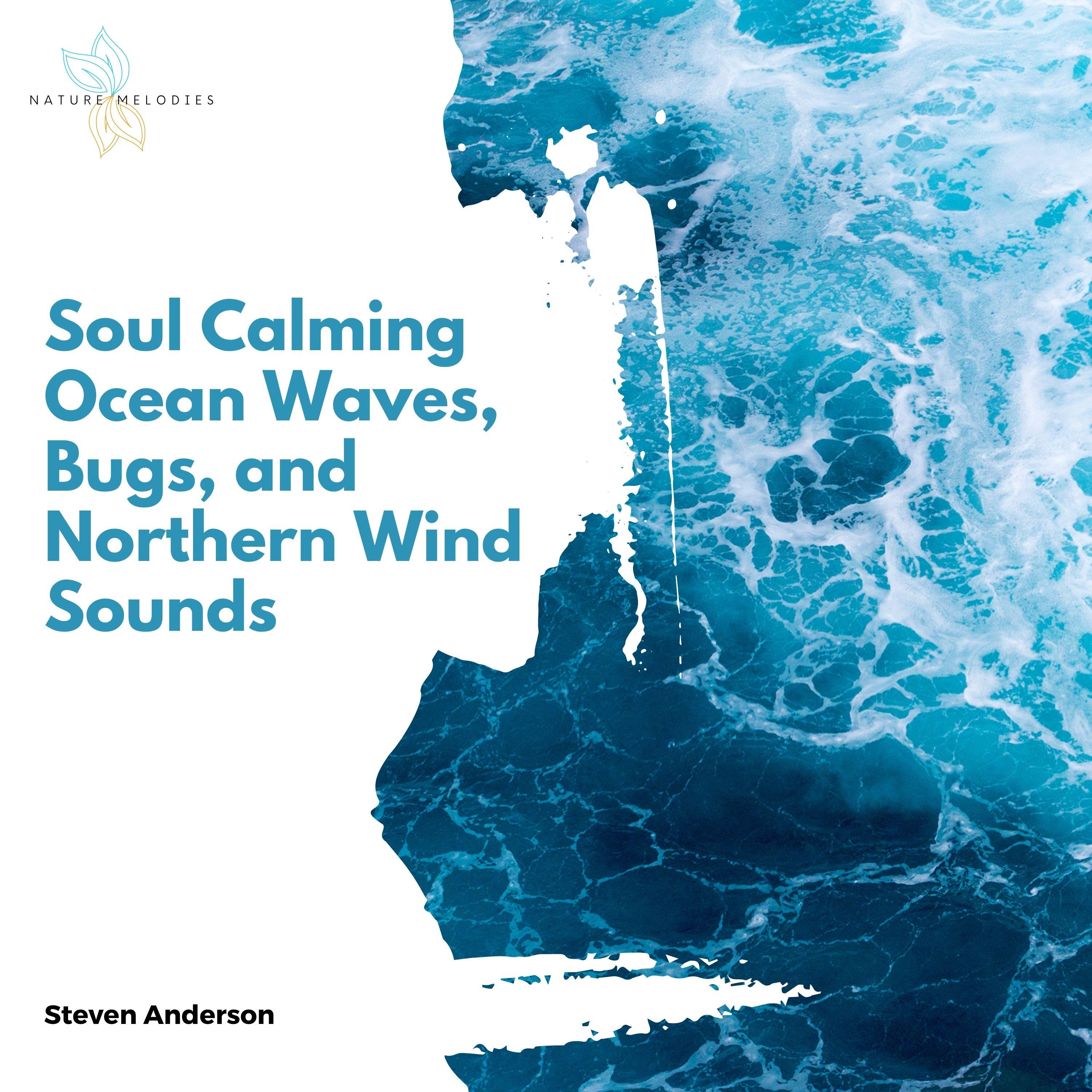 Soul Calming Ocean Waves, Bugs, and Northern Wind Sounds