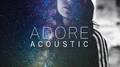 Adore (Acoustic)专辑