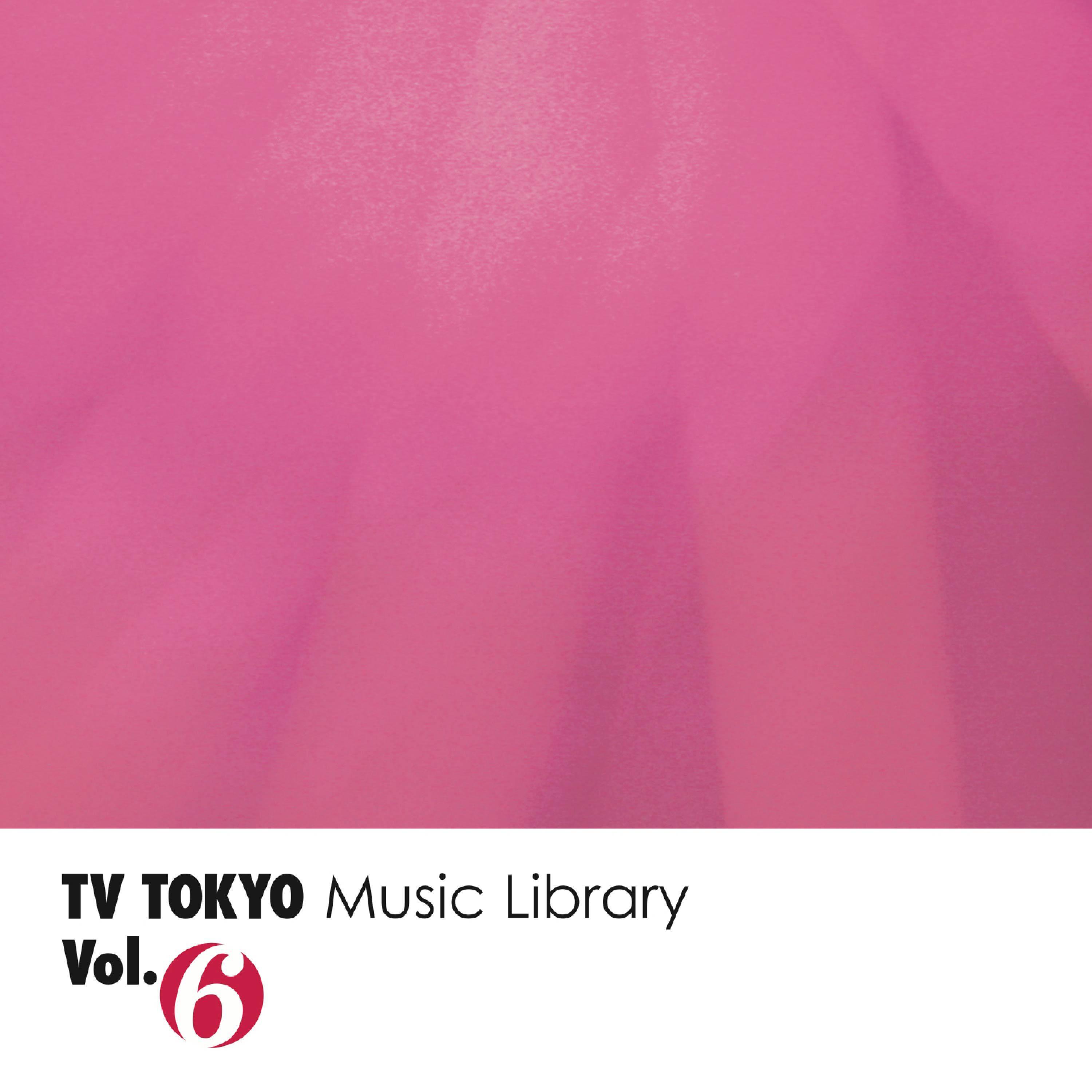TV TOKYO Music Library Vol.6（下）
