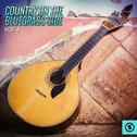 Country on the Bluegrass Side, Vol. 4专辑