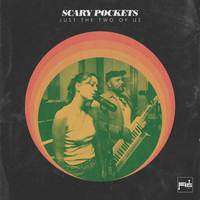 Scary Pockets & Lizzy McAlpine & Swatkins - Just the Two of Us (Karaoke Version) 带和声伴奏