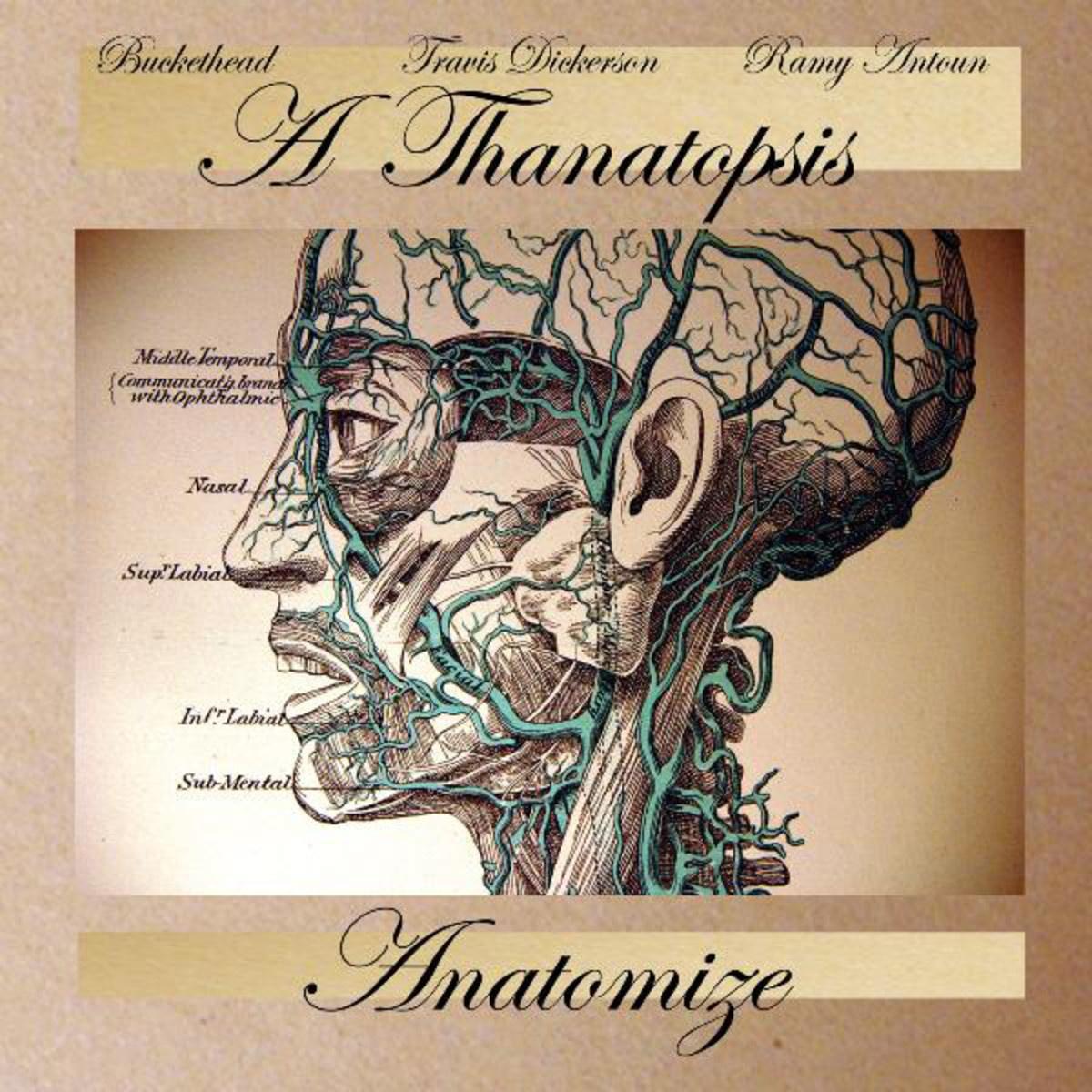 Anatomize