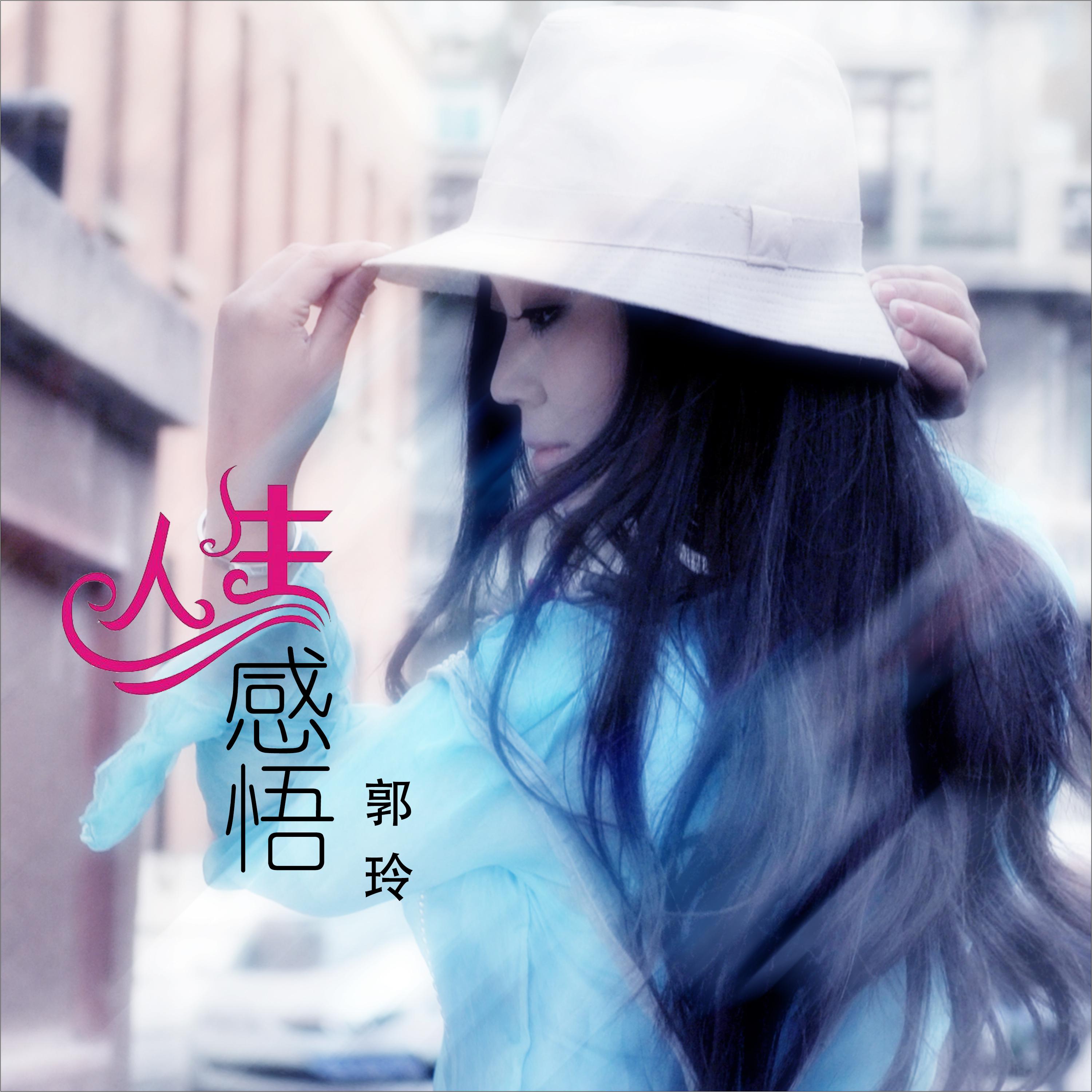 人生感悟 (DJ何鹏版)