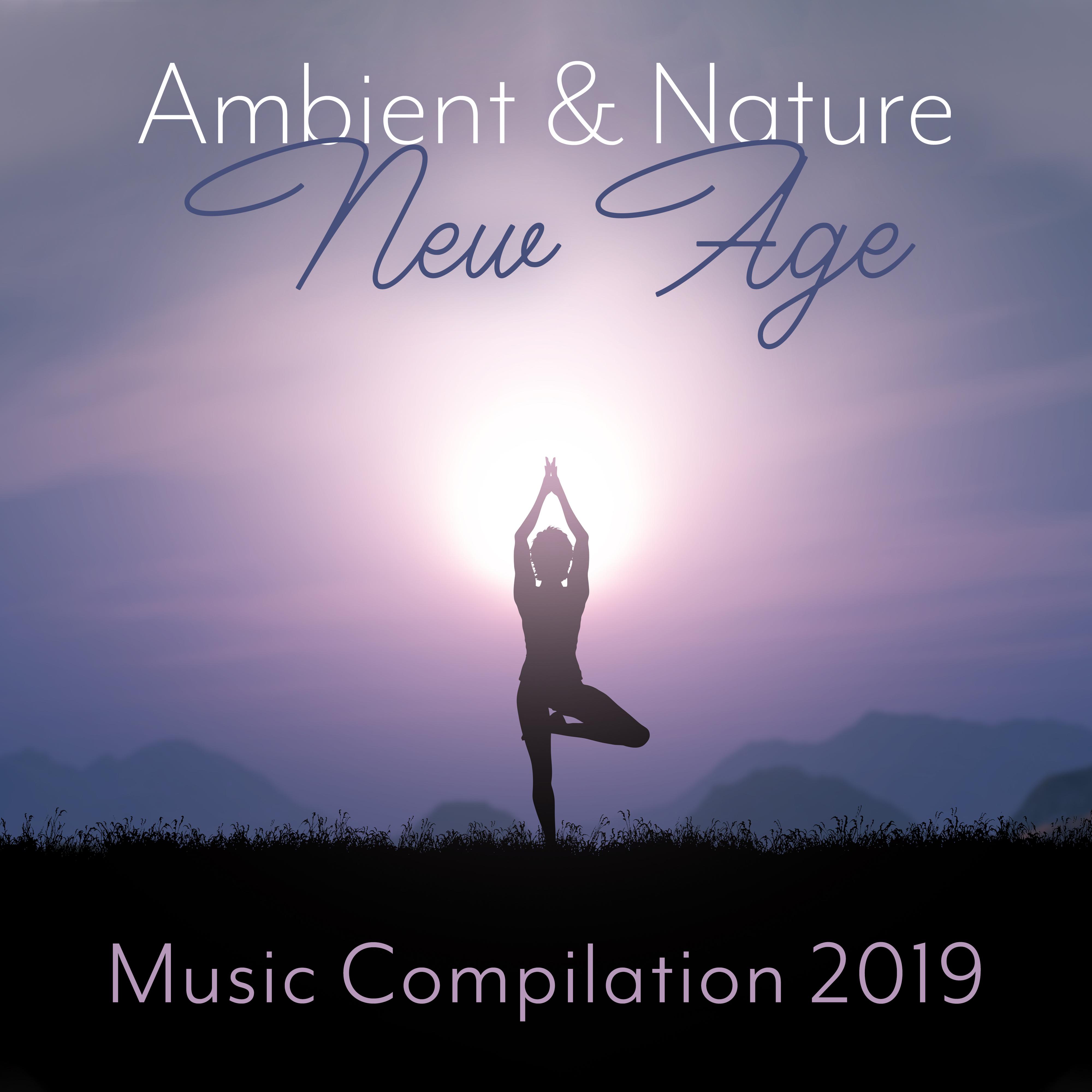 Ambient & Nature New Age Music Compilation 2019专辑