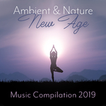 Ambient & Nature New Age Music Compilation 2019专辑