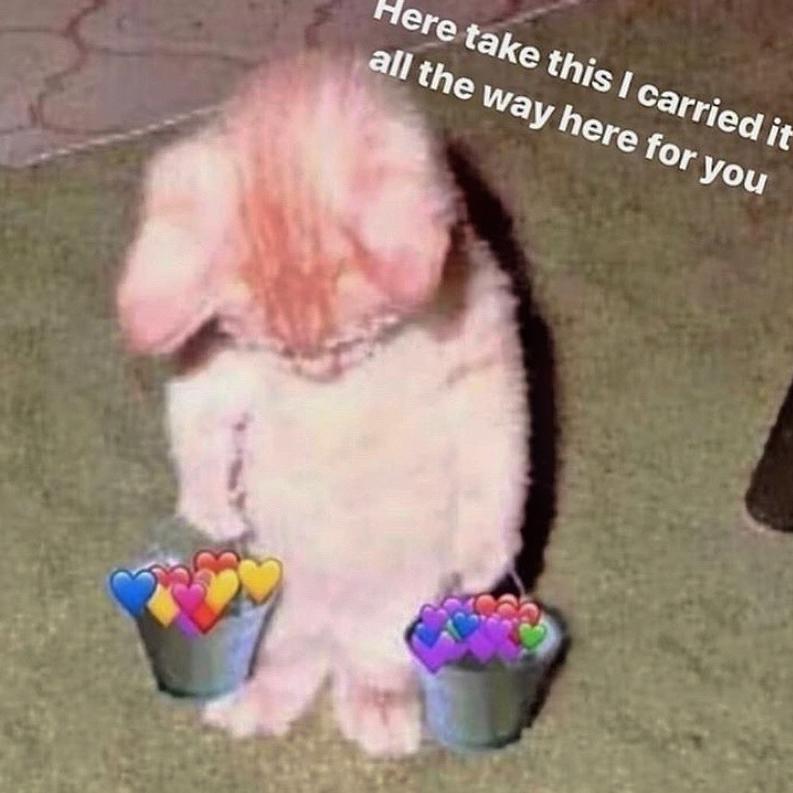 最好的我 治愈女声版