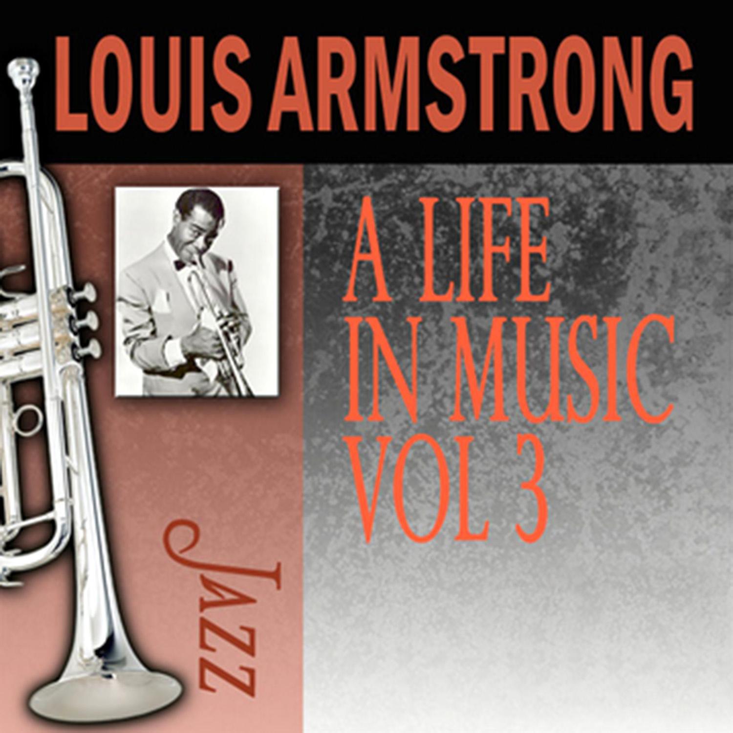 A Life in Music, Vol. 3