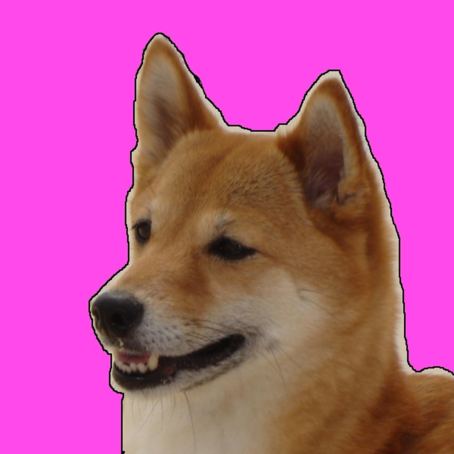 I Love My Shiba Inu