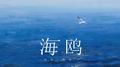 海鸥专辑