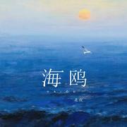 海鸥