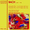 Violin Concerto in A Minor, BWV 1041: I. Allegro