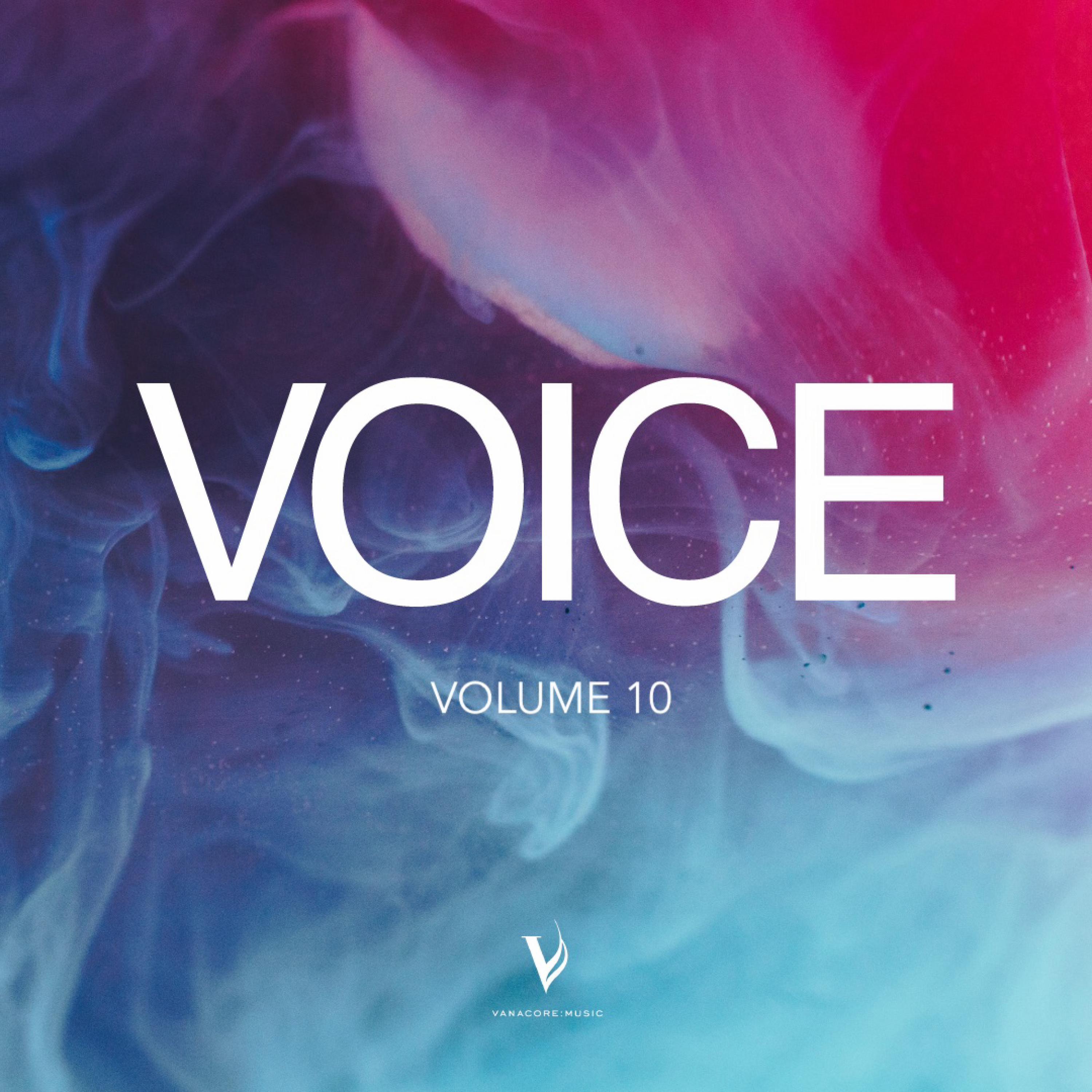 Voice, Vol. 10专辑