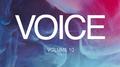 Voice, Vol. 10专辑