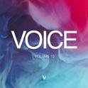 Voice, Vol. 10专辑