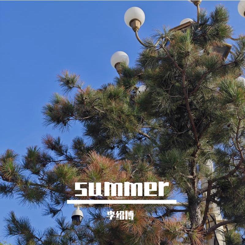 summer