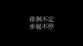 徘徊不定 步履不停专辑