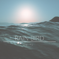 Rain Bird