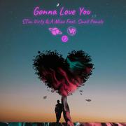 Gonna love you(Feat.STimVirty)