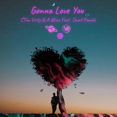 Gonna love you(Feat.STimVirty)