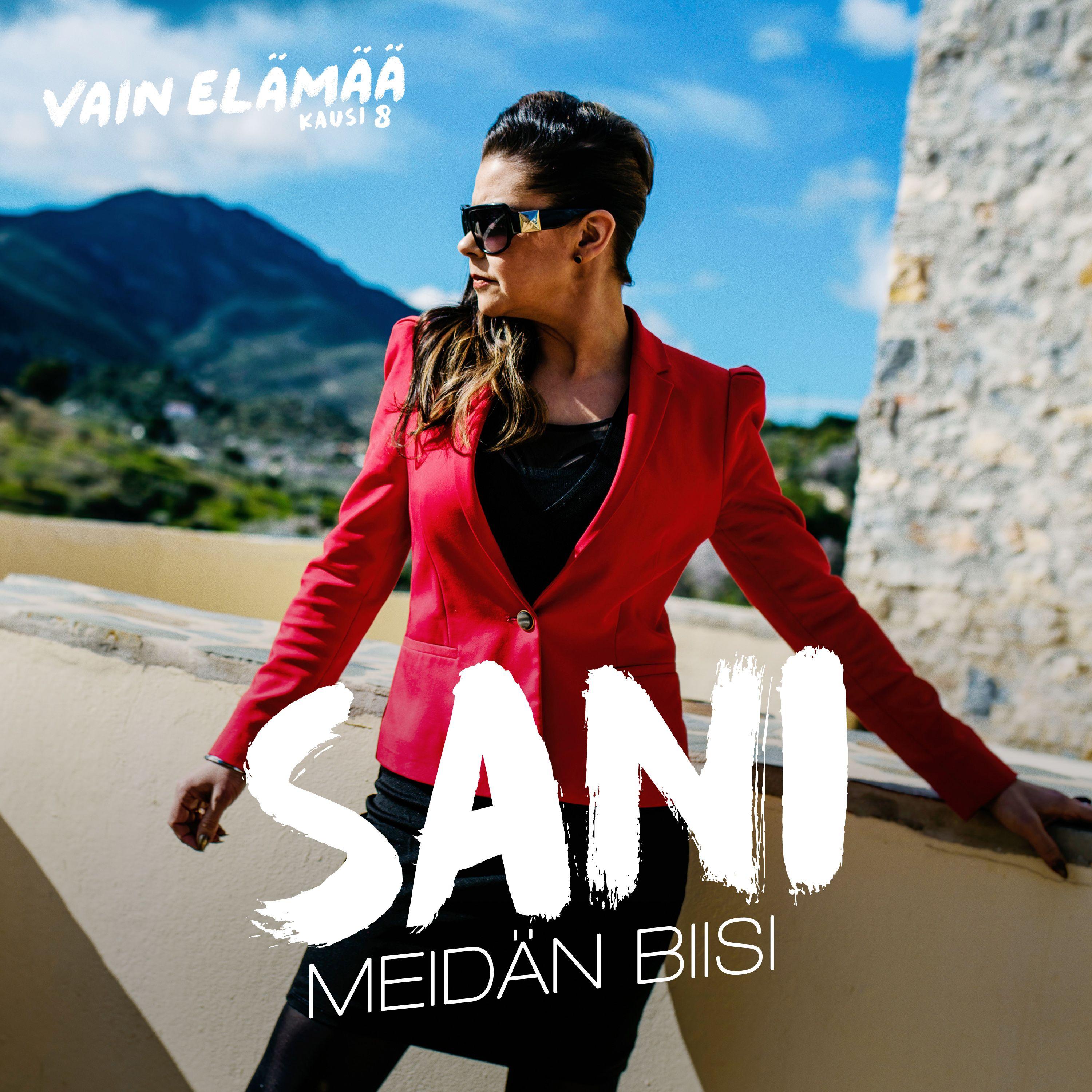Meidän biisi (Vain elämää kausi 8)