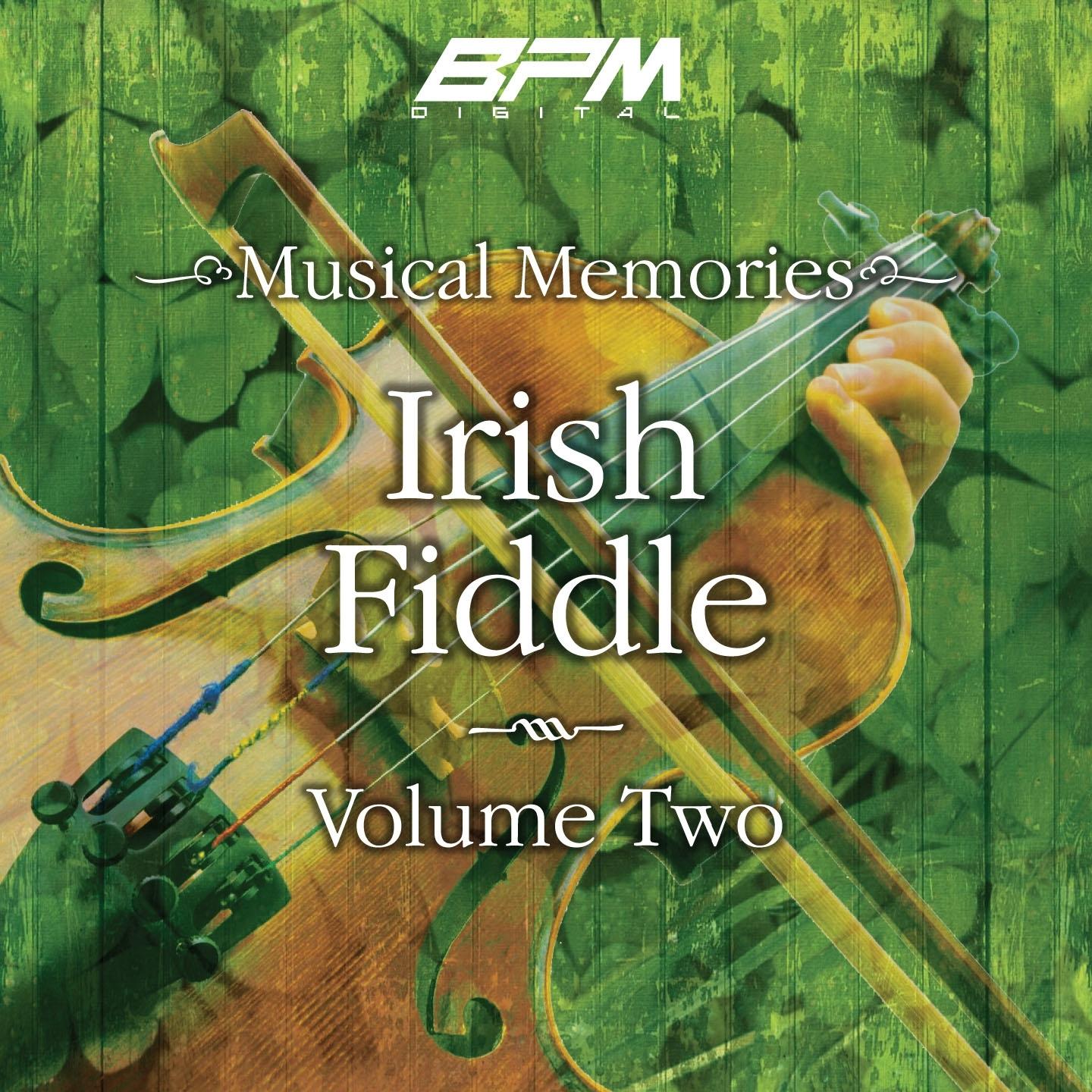Irish Fiddle, Vol. 2